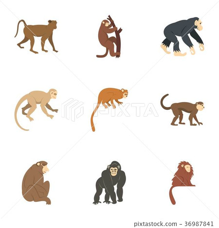Jungle monkey icon set, flat style Jungle monkey icon set, flat style 36987841