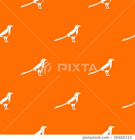 Bird magpie pattern seamless Bird magpie pattern seamless 36988318