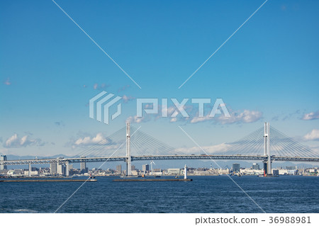 橫濱灣大橋 橫濱灣大橋 36988981
