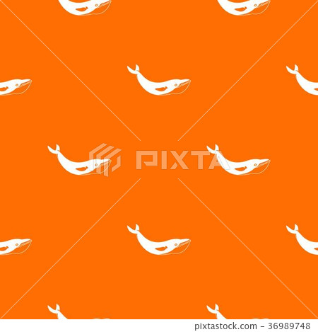 Whale pattern seamless 36989748