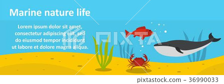 Marine nature life banner horizontal concept Marine nature life banner horizontal concept 36990033