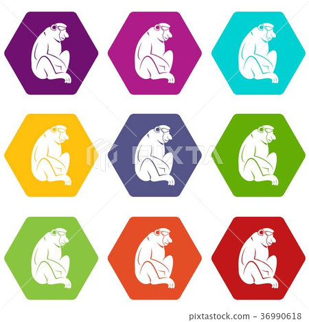 Orangutan icon set color hexahedron Orangutan icon set color hexahedron 36990618