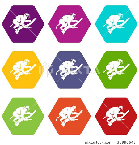 Monkey is climbing up on a tree icon set color hexahedron Monkey is climbing up on a tree icon set color hexahedron 36990643