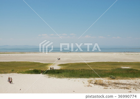 Antelope Island Antelope Island 36990774