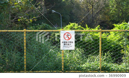 Danger is forbidden to enter_Amusement Park_Haunted House 36990909