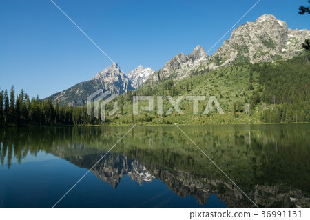 Grand Teton National Park 36991131