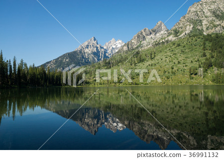 Grand Teton National Park Grand Teton National Park 36991132