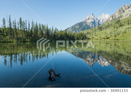Grand Teton National Park Grand Teton National Park 36991133