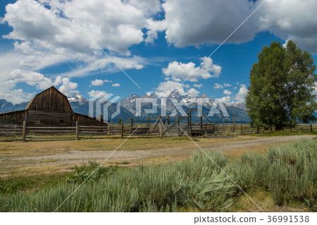 大提頓國家公園 36991538