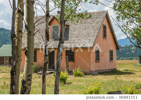 Grand Teton National Park 36991551