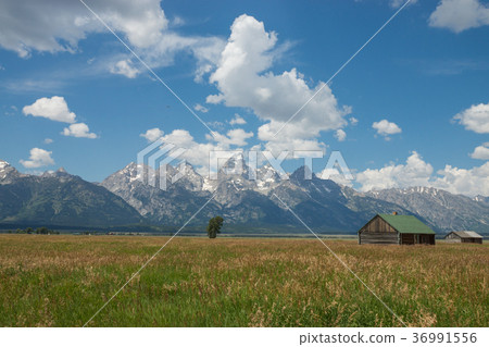 大提頓國家公園 36991556