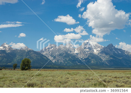 大提頓國家公園 36991564