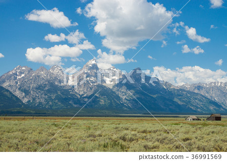 Grand Teton National Park 36991569