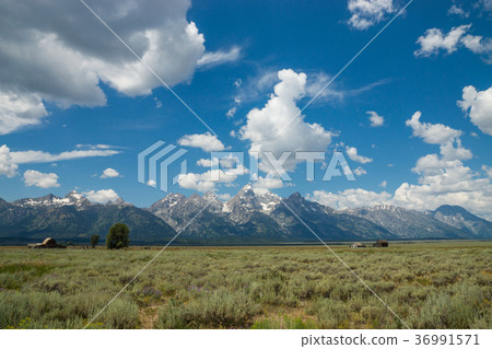 Grand Teton National Park Grand Teton National Park 36991571