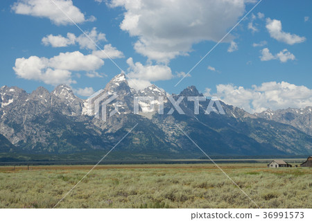 大提頓國家公園 36991573