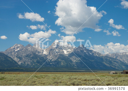 大提頓國家公園 36991578