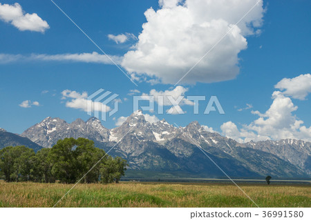 Grand Teton National Park Grand Teton National Park 36991580