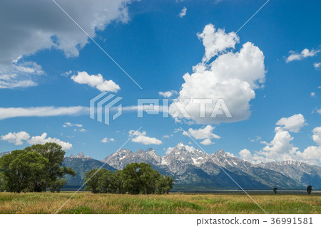 Grand Teton National Park 36991581