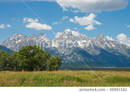 Grand Teton National Park 36991582