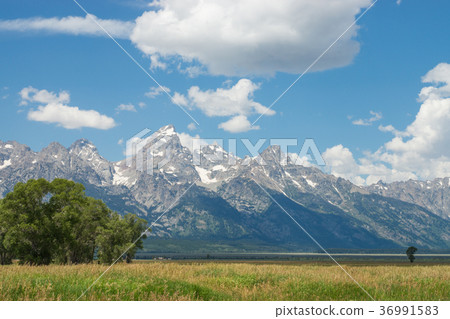 Grand Teton National Park 36991583