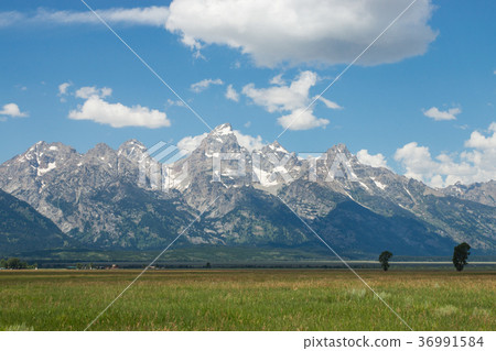 Grand Teton National Park 36991584