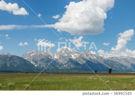 Grand Teton National Park 36991585