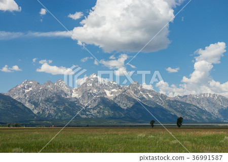 大提頓國家公園 36991587