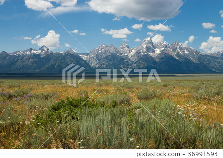 Grand Teton National Park 36991593