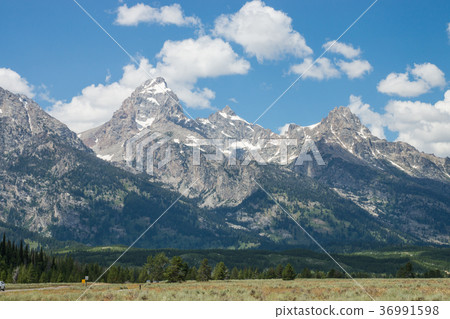 Grand Teton National Park 36991598
