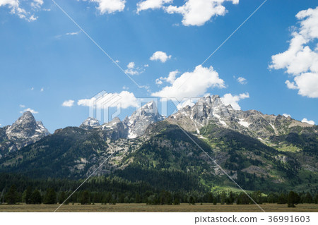 大提頓國家公園 36991603