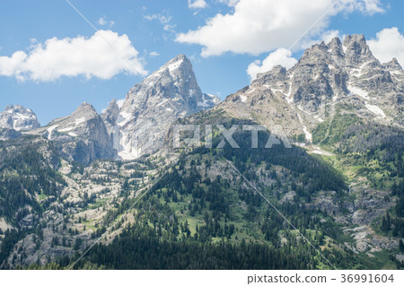 Grand Teton National Park 36991604