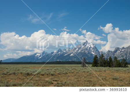 Grand Teton National Park 36991610