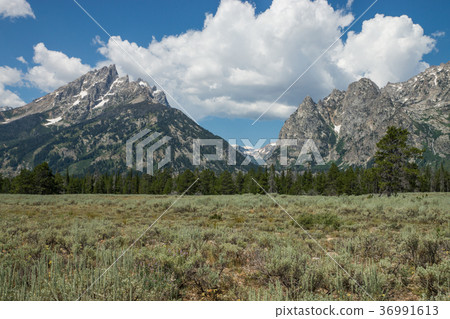Grand Teton National Park 36991613