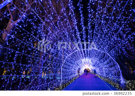 Illuminations of Samuel Cocking Illuminations of Samuel Cocking 36992235