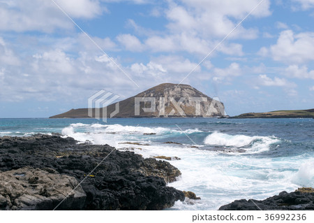 Hawaii Oahu Makapuu Beach Park Rabbit Island 36992236