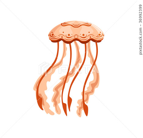 Jellyfish chrysaora colorata species of underwater 36992399