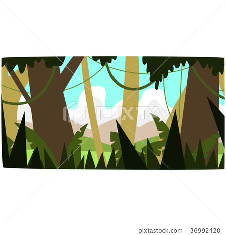 Deep tropical jungle background, tropical Deep tropical jungle background, tropical 36992420