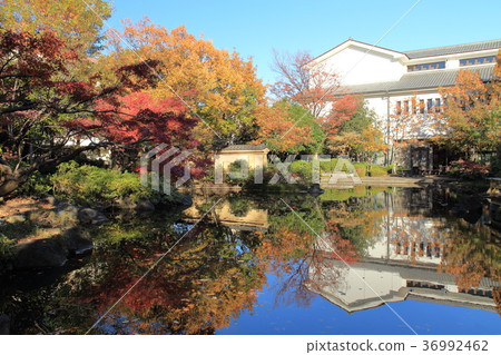 Autumn of Adachi City Local Museum 36992462