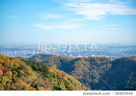 Mt. Takao mountain trail in autumn Mt. Inari course A view from the Azumaya to the downtown area Mt. Takao mountain trail in autumn Mt. Inari course A view from the Azumaya to the downtown area 36993449