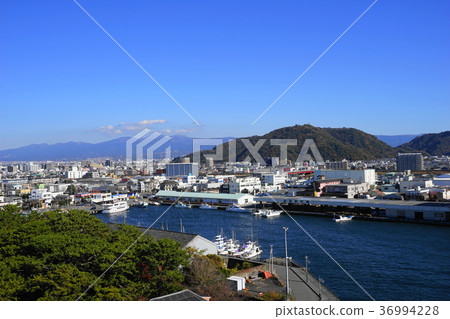 December Numazu 06 Numazu Fish Market 36994228