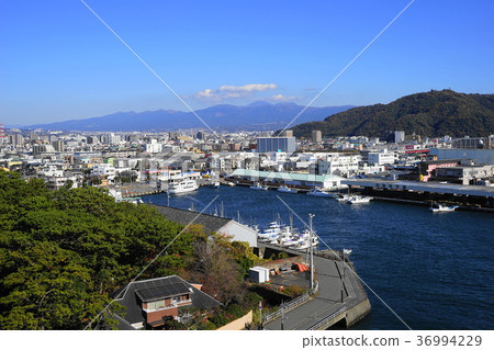 December Numazu 07 Numazu Fish Market 36994229