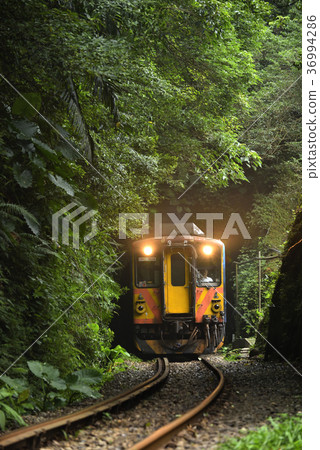 Train, mountain, tunnel, tree, grass, taiwan railway, railway, railway, traffic, transportation, taiwan, new north city, arch Train, mountain, tunnel, tree, grass, taiwan railway, railway, railway, traffic, transportation, taiwan, new north city, arch 36994286