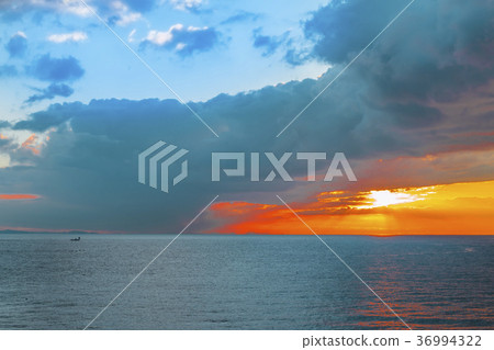 Masuru Asahi Masuru Asahi 36994322