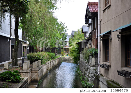 Street photograph of Nagahama city Otemon street Street photograph of Nagahama city Otemon street 36994479