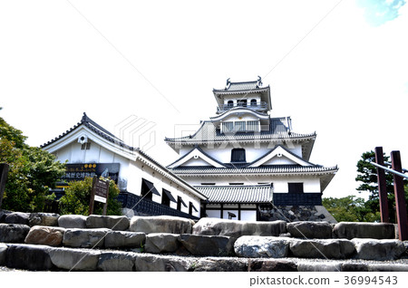 Nagahama Castle Pictures Nagahama Castle Pictures 36994543