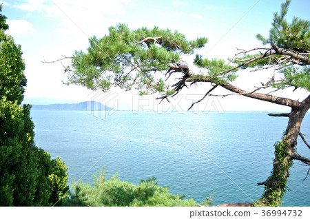 Nagahama City Takeojima Pictures Nagahama City Takeojima Pictures 36994732