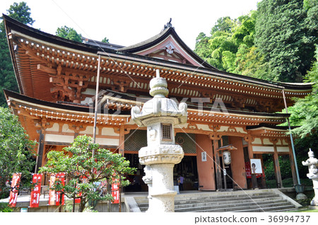 Nagahama City Takeojima Pictures Nagahama City Takeojima Pictures 36994737