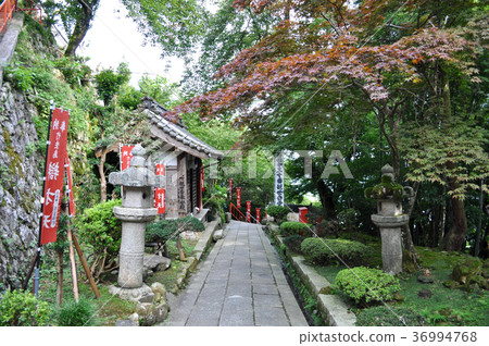 Nagahama City Takeojima Pictures Nagahama City Takeojima Pictures 36994768
