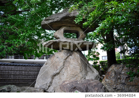 Nagahama City Gyunmo Garden Pictures Nagahama City Gyunmo Garden Pictures 36994884