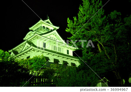 Nagahama Castle Pictures 36994967